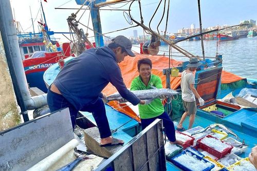 Gỡ thẻ vàng IUU: Còn chần chừ sẽ 'thiệt đơn, thiệt kép'
