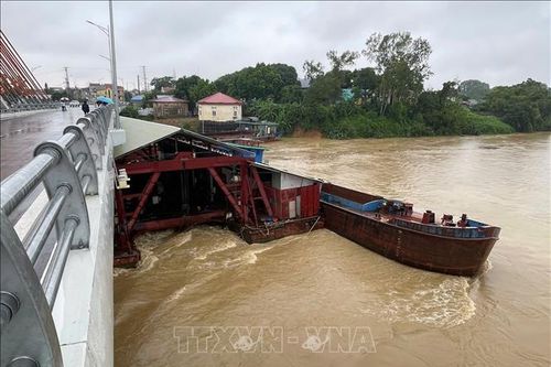 Nước sông Lô dâng cao, hàng loạt sà lan mắc kẹt ở cầu Vĩnh Phú