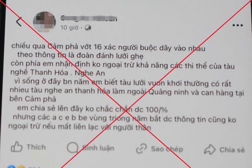 Triệu tập người đưa tin thất thiệt 'vớt nhiều xác người trên biển'