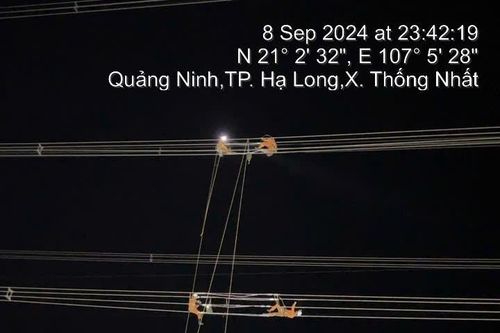 Tiếp tục lan tỏa tinh thần 'mạch 3' khắc phục sự cố lưới điện 220 kV-500 kV sau bão