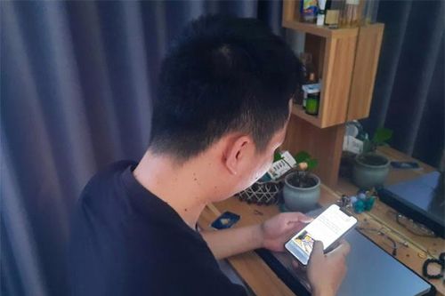 Cáo đội lốt hùm
