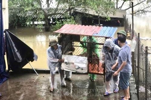 Hà Nội: Phân luồng giao thông tại huyện ngập nặng Mỹ Đức từ 12/9