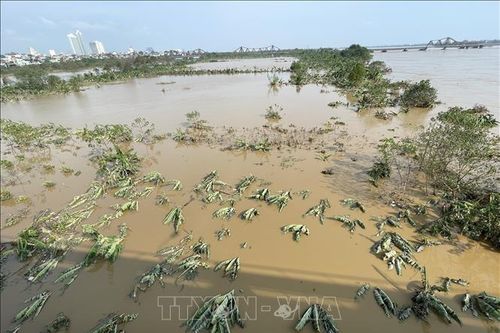 Lũ trên các sông có chiều hướng xuống