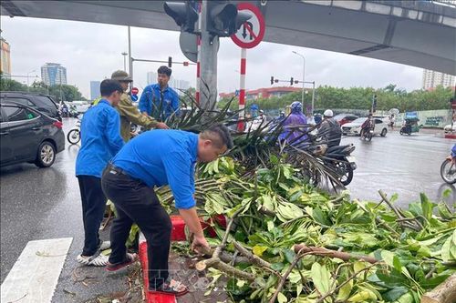 Tuổi trẻ Thủ đô chung tay phục hồi cảnh quan Hà Nội xanh tươi