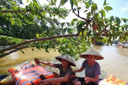 Gần 9.000 người dân xã Vân Hà ở Bắc Giang bị cô lập bởi lũ