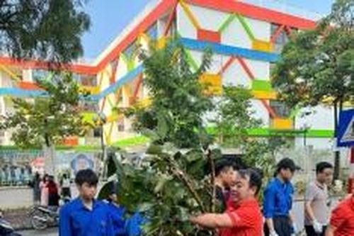 Đoàn Thanh niên PVEP tham gia dọn dẹp môi trường sau bão số 3