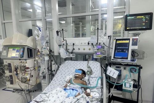 Bé 7 tuổi bị ong vò vẽ đốt 70 vết, nhập viện nguy kịch