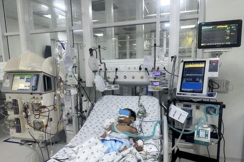 Tình trạng của bé trai 7 tuổi bị ong vò vẽ đốt 70 vết