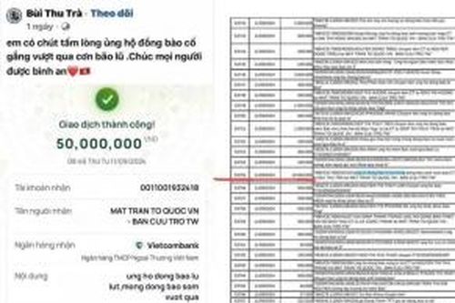 Con gái Huấn Hoa Hồng bị réo tên vì 'phông bạt' chuyển khoản ủng hộ đồng bào