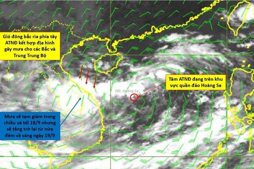 Tin giả bão số 4 gây 'nhiễu' thông tin, cơ quan khí tượng quốc gia cảnh báo khẩn