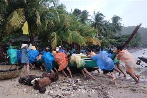 Chủ động ứng phó áp thấp nhiệt đới có khả năng mạnh lên thành bão