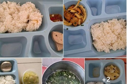 Thanh tra toàn diện trường bị tố suất cơm giáo viên chỉ có 2 miếng chả