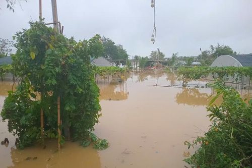 Lãnh đạo các nước gửi thư, điện, thông điệp thăm hỏi, chia sẻ với Việt Nam về ảnh hưởng của cơn bão số 3