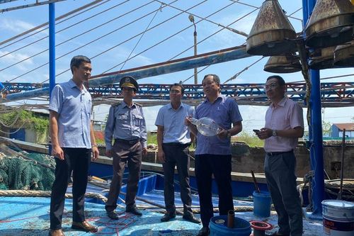 Hỗ trợ ngư dân Hải Phòng khắc phục hậu quả bão số 3
