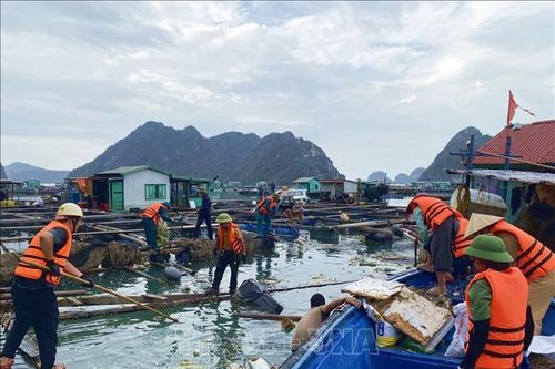 Huy động các lực lượng ra quân làm sạch vịnh Bái Tử Long