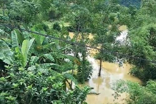 Nghệ An: nam thanh niên đuối nước khi cùng bạn đánh cá trên sông