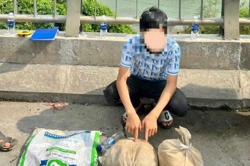 Khởi tố thanh niên ở Huế ra Quảng Trị vận chuyển 2 cá thể động vật quý