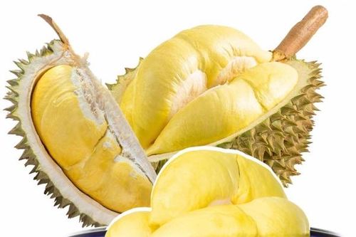 Giá sầu riêng hôm nay 23/9: Xu hướng đi ngang vẫn tiếp diễn