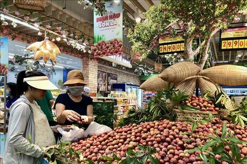 Doanh nghiệp liên kết mở rộng vùng nguyên liệu, kênh phân phối