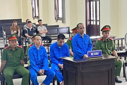 Mở quán ăn thua lỗ, đổi nghề đột nhập biệt thự