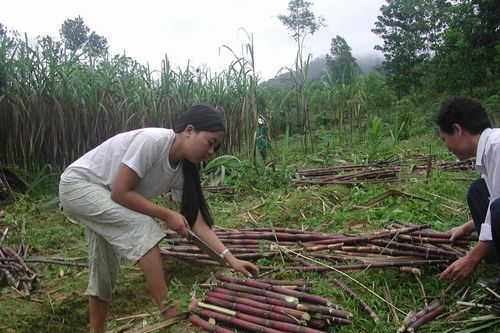 Tử địa Mỏ Tàu - Kỳ 3: Mỏ Tàu xứng đáng là di tích lịch sử cách mạng