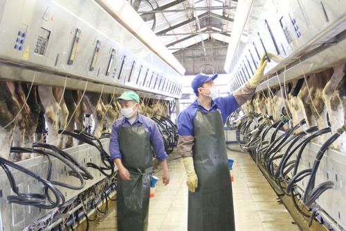 Chế biến sâu để nâng cao giá trị nông sản