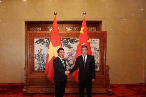 Bộ Công Thương đề xuất Trung Quốc mở cửa cho quả bơ, na Việt Nam