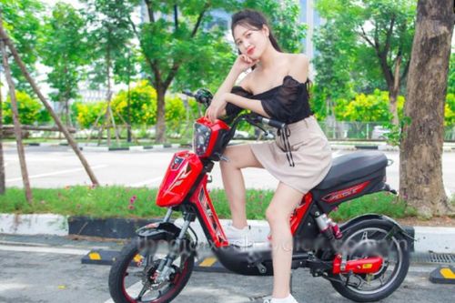 Giá xe đạp điện EV đầu tháng 10/2024, rẻ nhất từ 9,99 triệu đồng