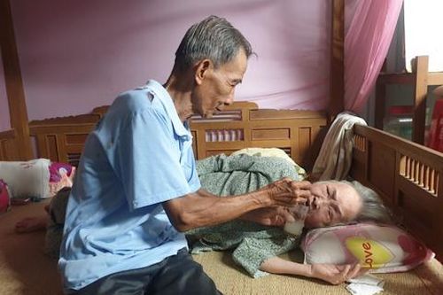 Chủ tịch xã ký trình cấp đất rồi kiện… 'đòi lại quyền sử dụng'!?