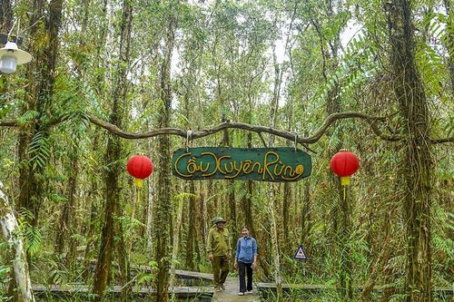 Phát triển du lịch dưới tán rừng