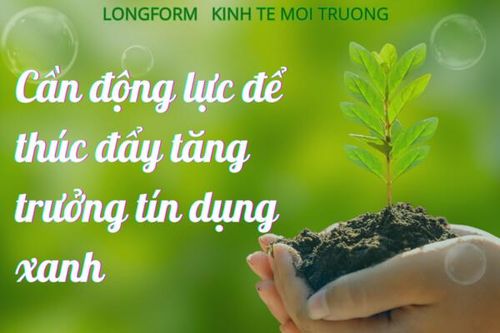 Cần động lực để thúc đẩy tăng trưởng tín dụng xanh