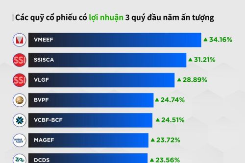 Nhiều quỹ mở đạt hiệu suất vượt trội hơn VN-Index