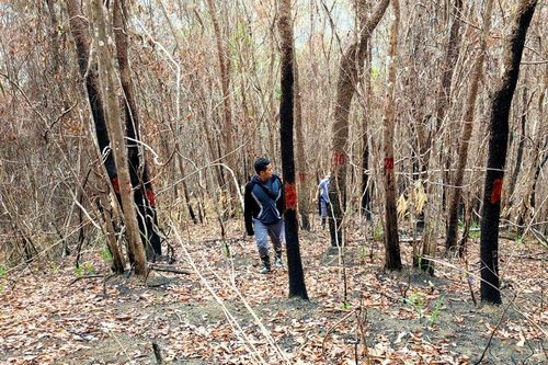 Kiên quyết xử lý vi phạm, đảm bảo sự nghiêm minh của pháp luật