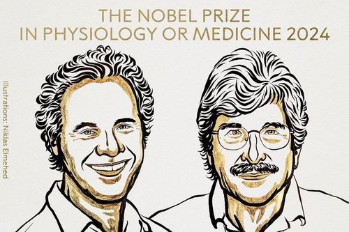 Giải Nobel Y học năm 2024 vinh danh người khám phá microARN