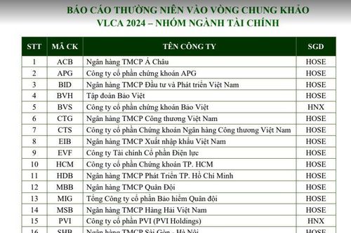 HoSE công bố các doanh nghiệp vào chung khảo cuộc bình chọn DNNY năm 2024