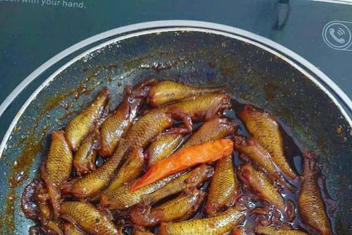 Mùa nước son nhớ con bống trứng