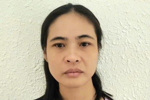 Khởi tố nữ phiên dịch chiếm đoạt tiền của người nước ngoài