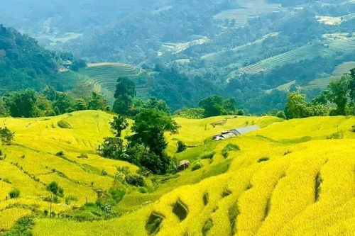 Khám phá Việt Nam: Vẻ đẹp yên bình ở Khuổi My, Hà Giang