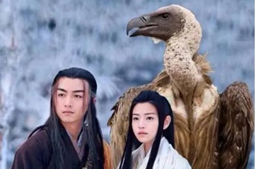 Cao thủ thực sự sáng lập Tiêu Dao phái: Bí mật được chính Thần Điêu bên cạnh Dương Quá tiết lộ