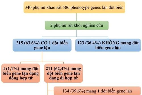 Nghiên cứu quan trọng về nguy cơ mang bệnh trong gene lặn ở phụ nữ