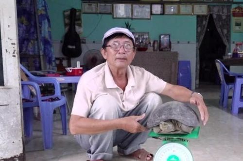 Rùa liên tiếp bò lên nhà người dân