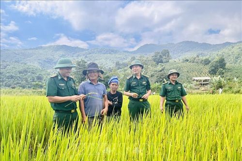Người lính biên phòng mang mùa vàng no ấm đến dân bản