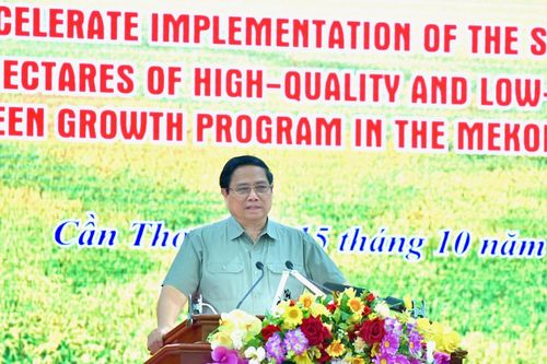 Nỗ lực triển khai hiệu quả Đề án 1 triệu ha lúa chuyên canh chất lượng cao, phát thải thấp tại Đồng bằng sông Cửu Long