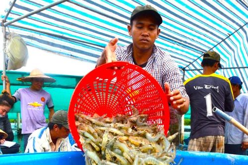Chính quyền quyết liệt vào cuộc xử lý vi phạm, bảo vệ nguồn lợi thủy sản