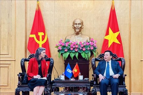 Thúc đẩy hợp tác quốc tế trong chia sẻ tri thức và nghiên cứu chính sách phát triển bền vững