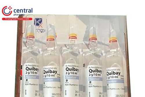 Thu hồi thuốc tiêm Quibay 2g/10ml do không đạt chất lượng