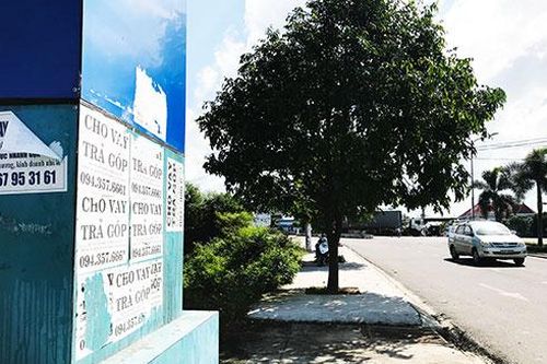 Khổ vì sim rác