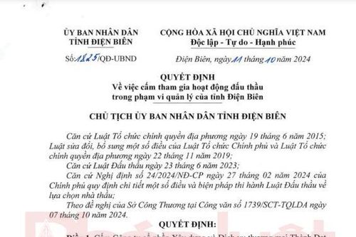 Tỉnh Điện Biên ban hành quyết định cấm thầu 3 năm với công ty Thành Đạt do thiếu trung thực?
