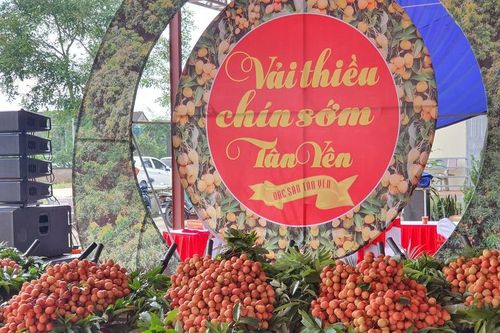 Xây dựng nông thôn mới ở Bắc Giang - Điểm sáng từ xã Phúc Hòa