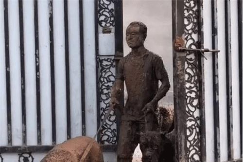 Người đàn ông dắt 3 chú chó đi dạo, khi quay về vợ không nhận ra mà phải thốt lên: 'Tác phẩm nghệ thuật này ở đâu ra?'